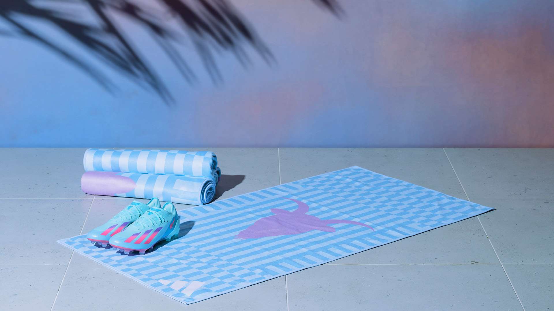 质锻炼的重 质锻炼的重