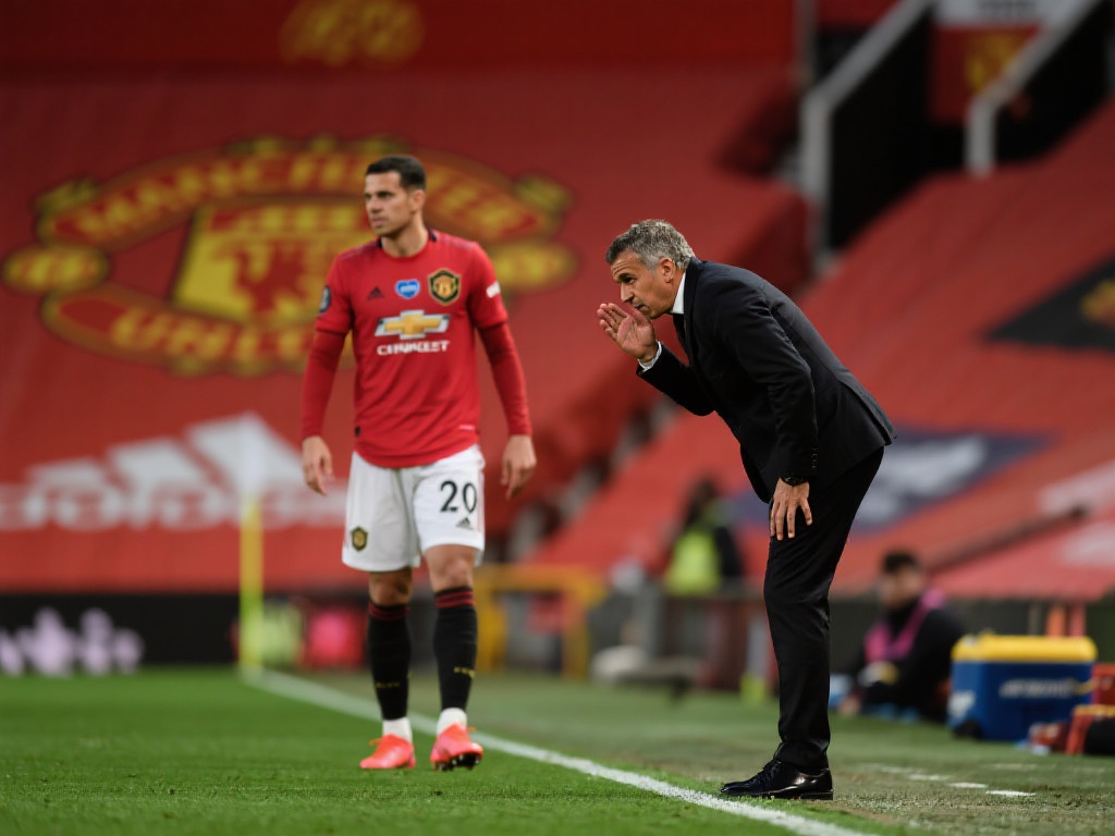 现了不同的 现了不同的